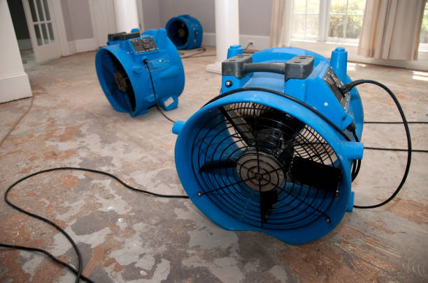 Reliable Calipatria, CA Water damage restoration Solutions