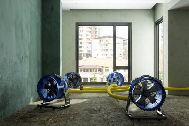 Best Carpet water damage restoration  in Lipatria, CA